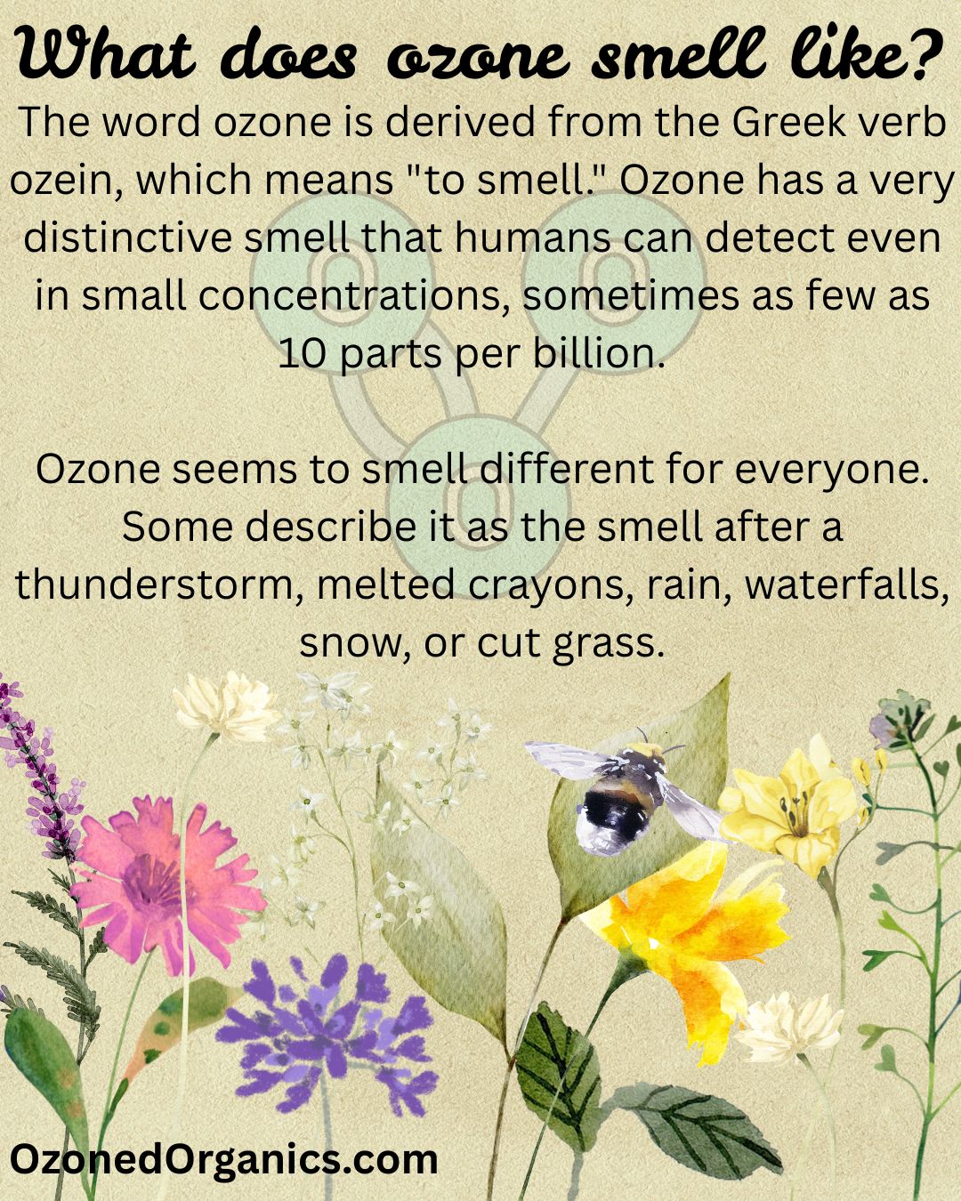 Ozone's scent