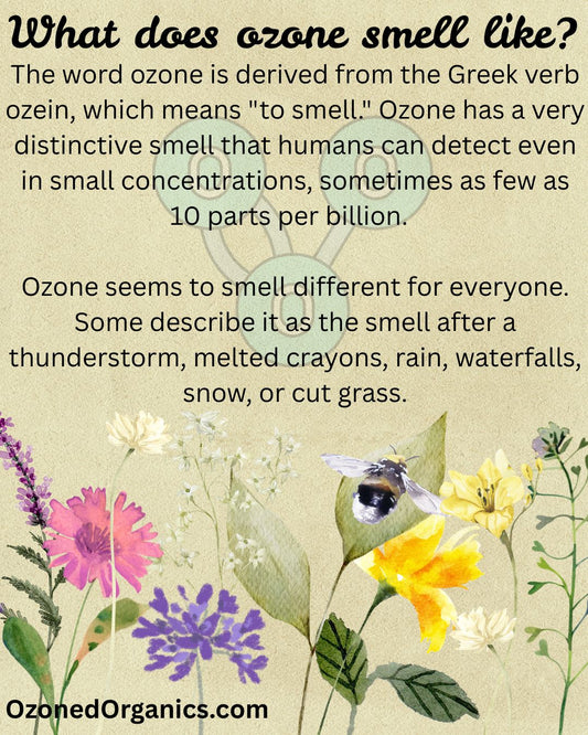 Ozone's scent