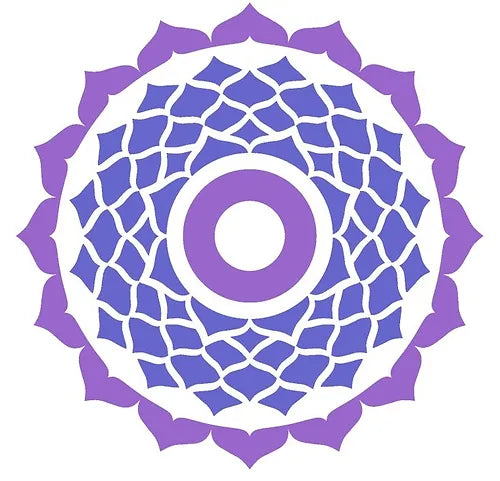 CROWN CHAKRA Skin Food