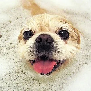 Pet Shampoos!