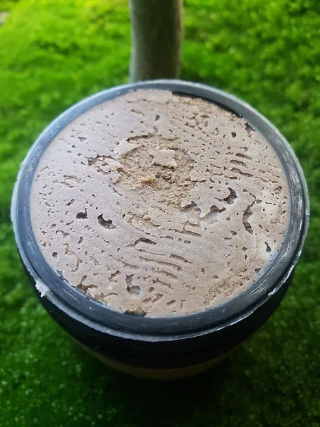 Remineralizing Probiotic Hydroxyapatite & Shilajit Ozone Toothpaste