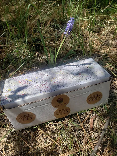 Ozone Bath Bomb Box Contains: 3