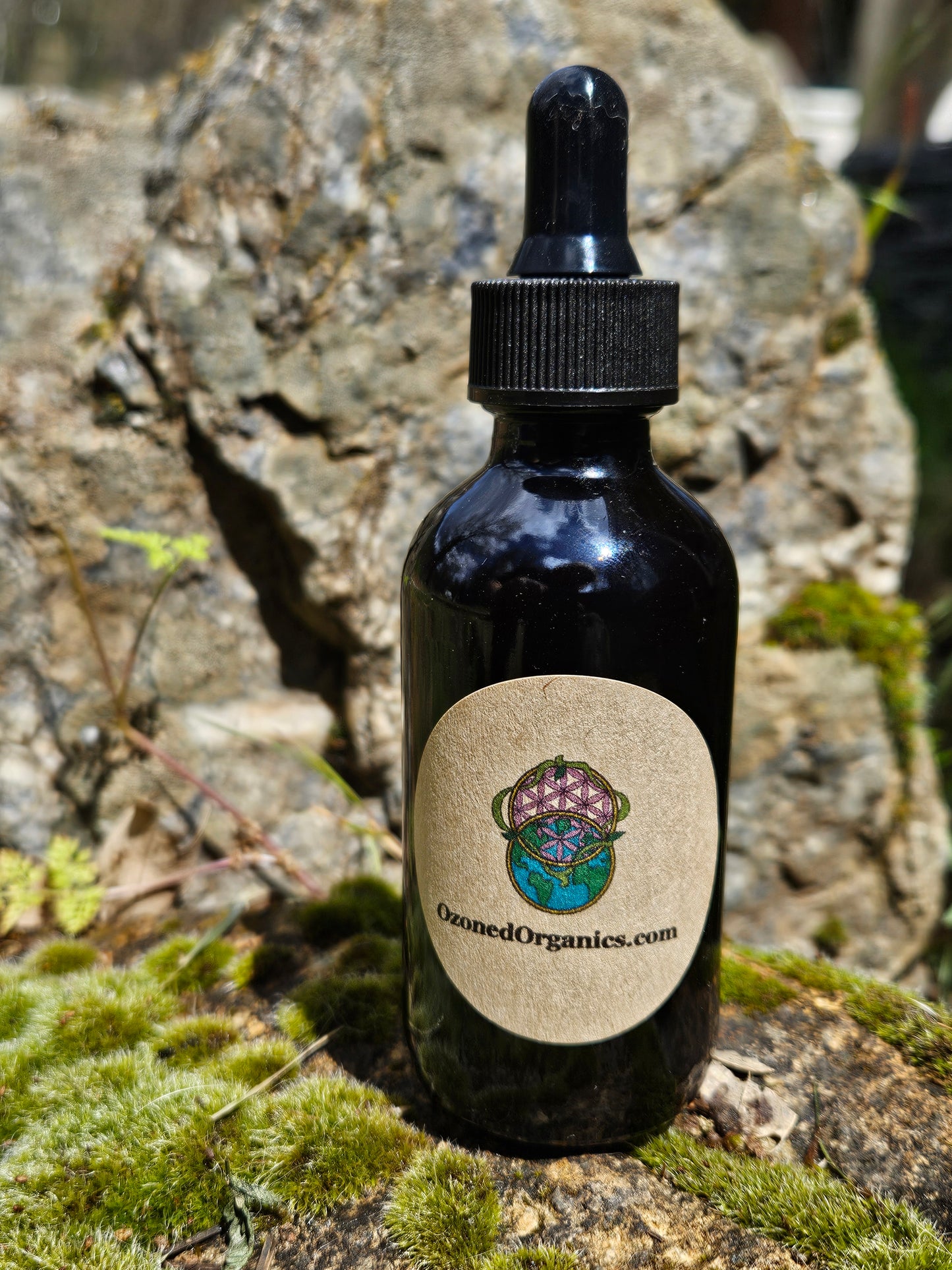 10-in-1 Medicinal Mushroom Extract