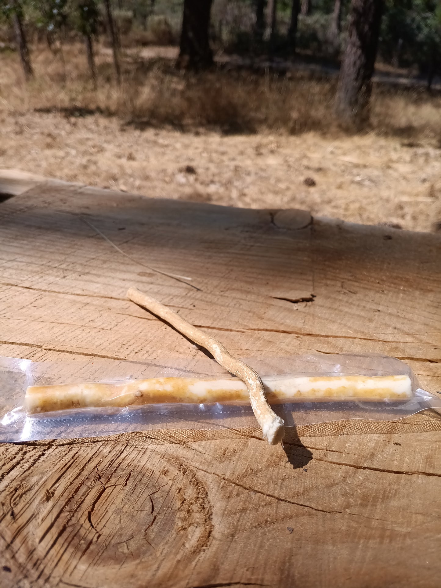Pellu Miswak Toothbrush