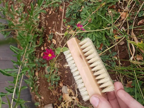 Natural Wood Hand and Nail Brushes